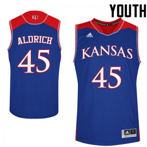 Youth Kansas Jayhawks #45 Cole Aldrich Royal University Jersey 294438-914