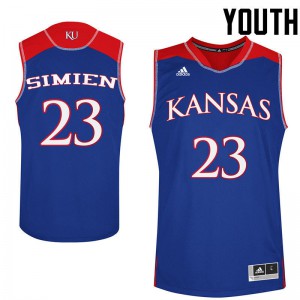 Youth Kansas Jayhawks #23 Wayne Simien Royal Basketball Jersey 450319-216